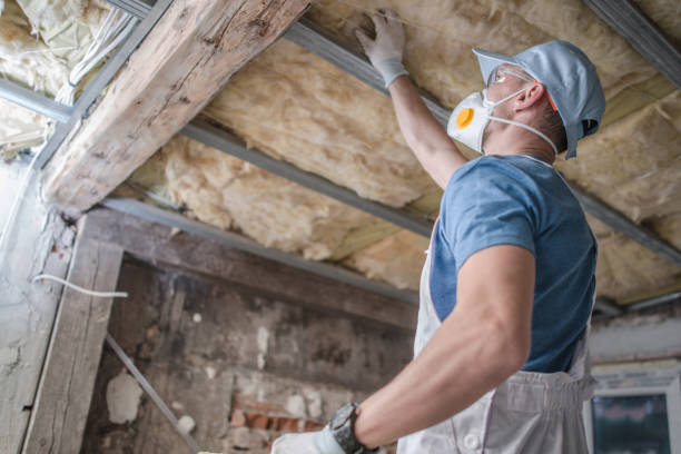 Best Attic Insulation Installation  in Reading, MI