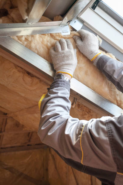 Best Energy-efficient Insulation  in Reading, MI