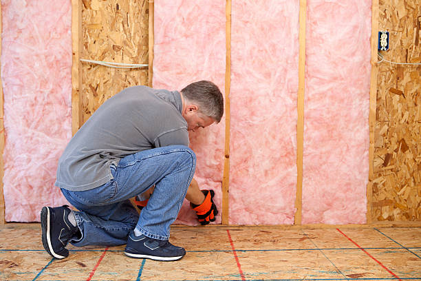 Best Blown-in Insulation  in Reading, MI