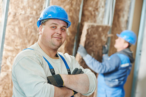 Best Insulation Replacement Services  in Reading, MI